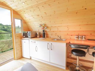 The Rhiw - Newtown - 5