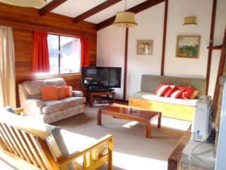 Retro 2 Bedroom Apartment - Thredbo - 6