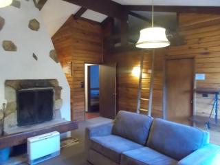 Retro 2 Bedroom Apartment - Thredbo - 3