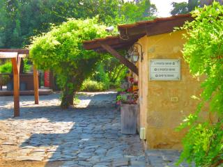THE MANSION in yesod hamaala - 6