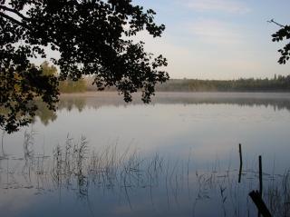 Wismens Natur & Fiske - Krogsered - 3