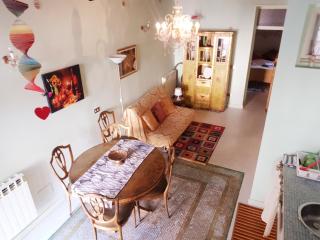 BIENNALE FLAT IN GIARDINI - Venice - 3