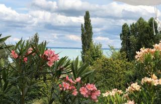Polaris Yacht Apartman - Balatonalmádi - 8