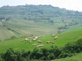 Agriturismo La Creta - 5