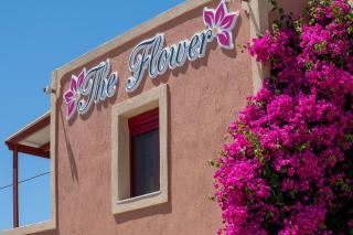 Pension The Flower - Oia - 4