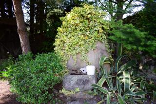 Quinta Sul America - 5