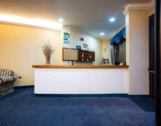Hotel Hermitage - Polla - 4