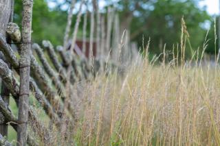 Uue-Hallikivi Talu - 4