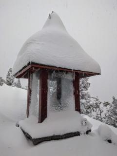 Solar de las Araucarias - San Carlos de Bariloche - 5