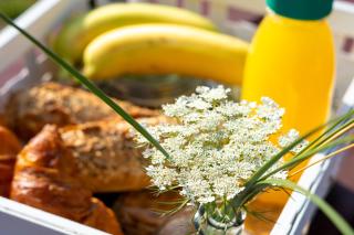 Surfana Beach camping hostel Bed & Breakfast Vlieland - Vlieland - 6