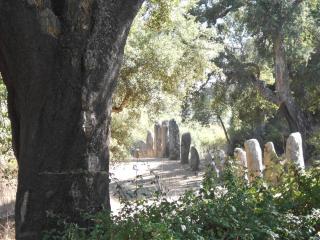 B&B I Menhir - Sorgono - 5