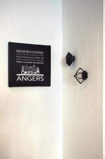 Crypto Prestige - Gare et Centre - Studio et T3 - Angers - 9