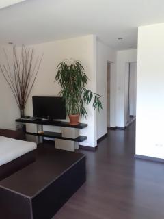Nature apartman - Tata - 6