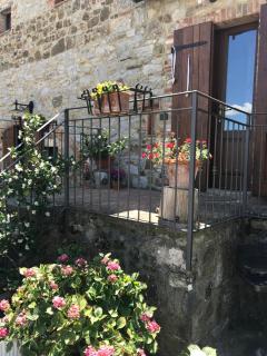 Salto di Gatto - Castellina in Chianti - 6