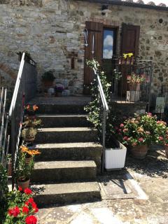 Salto di Gatto - Castellina in Chianti - 5