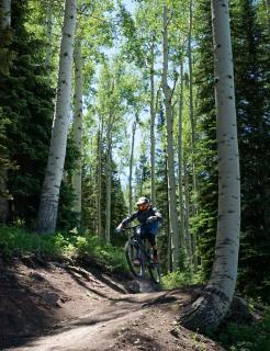Tiny Homes at Powderhorn Mountain Resort - Mesa - 3