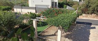 Nera Apartment - Brodarica - 2