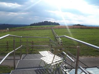 Ferienwohnung am Dachsberg, Bayerischer Wald - Haselbach - 8
