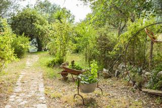 Affittacamere D'amore - Foria - 2