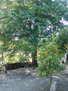 Traditional stone house in Pelion - Rodhiás - 5