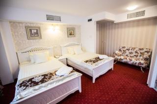 Hotel Helin Central - 7