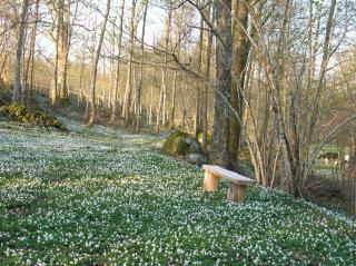 Wismens Natur & Fiske - Krogsered - 7