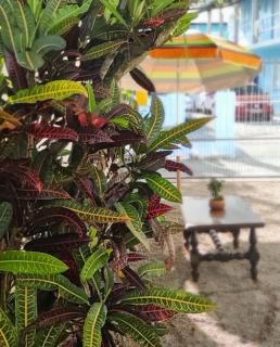 TERRAÇO DA BARRA - 1