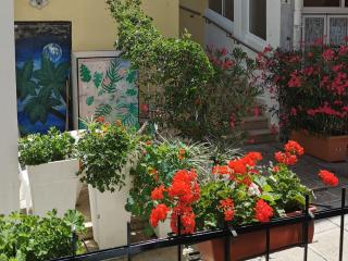 STELLA deluxe SUPERIOR 5 star apartment, your piece of heaven by the sea & park, with sea view - Novigrad Istria - 2