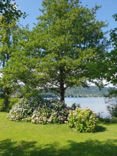 Cosy Lake cottage, 300m2 lake area just for you ! - Maria Wörth - 7