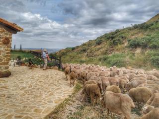 Masía el Cabrero - Villarroya de los Pinares - 7