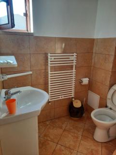 Gold Fayen House Cheile Turului - Tureni - 8