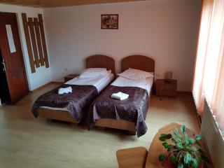 Gold Fayen House Cheile Turului - Tureni - 7