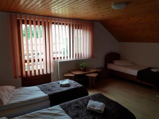 Gold Fayen House Cheile Turului - Tureni - 6