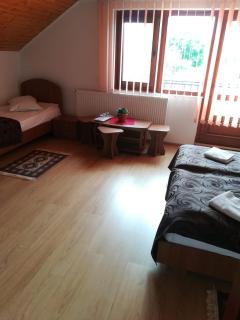 Gold Fayen House Cheile Turului - Tureni - 5