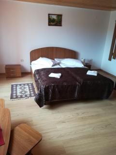 Gold Fayen House Cheile Turului - Tureni - 4