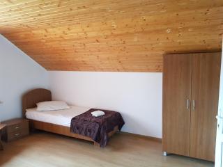 Gold Fayen House Cheile Turului - Tureni - 3