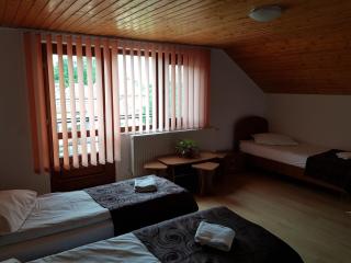 Gold Fayen House Cheile Turului - Tureni - 2