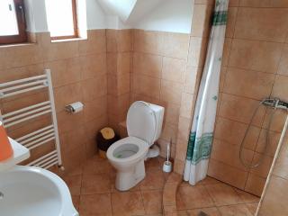 Gold Fayen House Cheile Turului - Tureni - 1