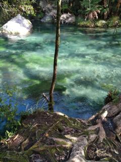 Tarawera River Lodge Motel - 1