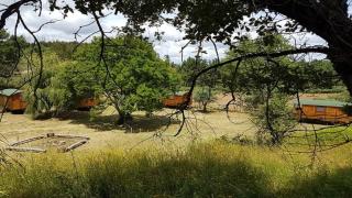 Quinta Portugo - Cernache do Bonjardim - 8
