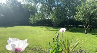Hope Orchard En-Suite Rooms - Cheltenham - 5
