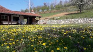 Guca village home - 8