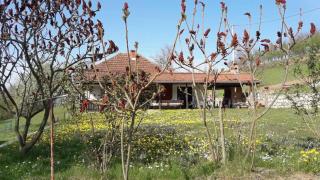 Guca village home - 7