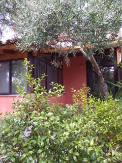 Cuntarati Nature Tourism - Simeto Etna - Bronte - 3