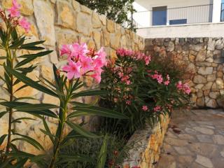 Apartment Klara - Primošten - 9