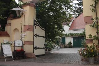 Bio-Weingut, Gästehaus und Kräuterhof - 8