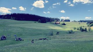 daheim im hirschen - Schönwald - 4