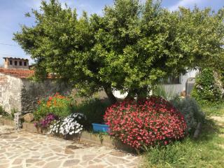 Chez Raz B&B - Velletri - 4