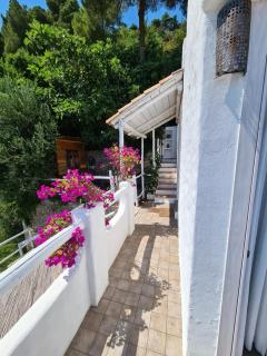 Soqquadro Art&Relax - Spotorno (SV) Sea View - Spotorno - 6