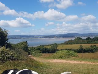 Haven Devon Cliffs Caravan - Budleigh Salterton - 1